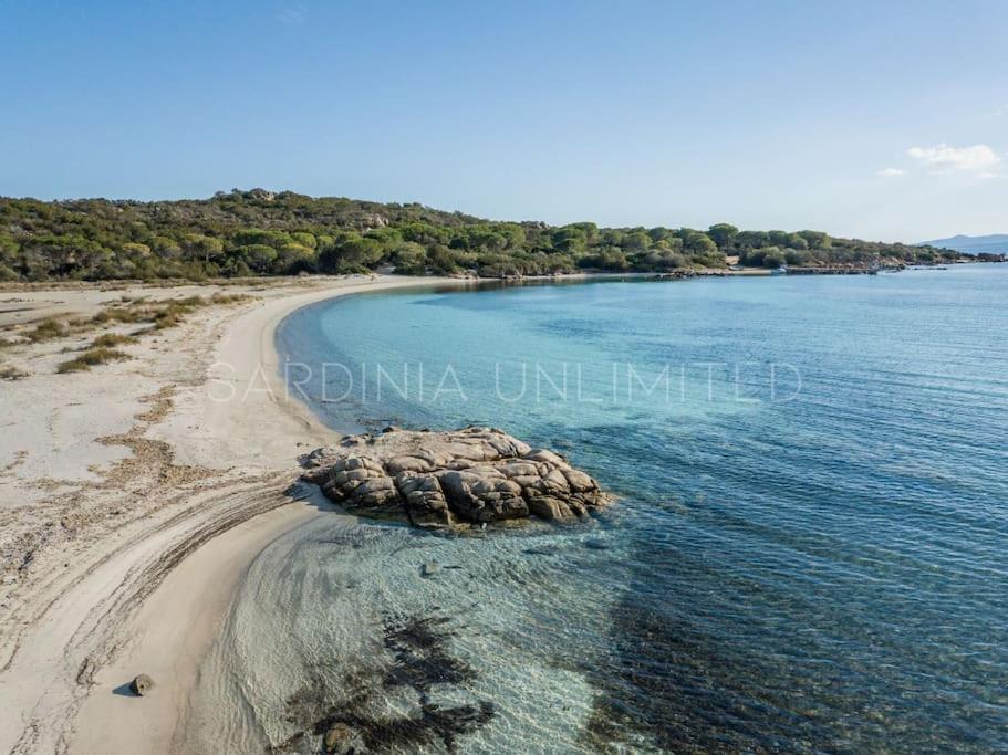 Villa Domus Ardea 卡珀科达卡瓦洛 外观 照片
